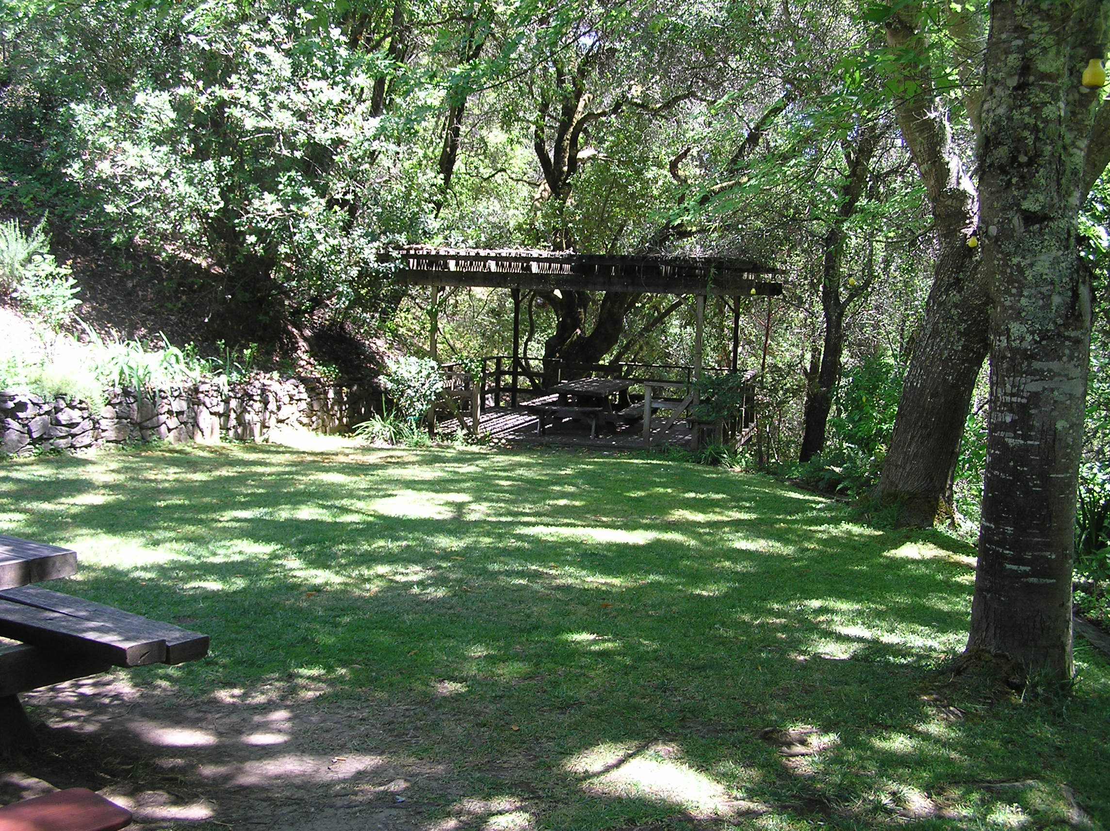 Our gorgeous picnic site