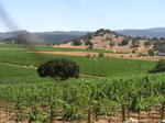 Beautiful view from Gargiulo's patio