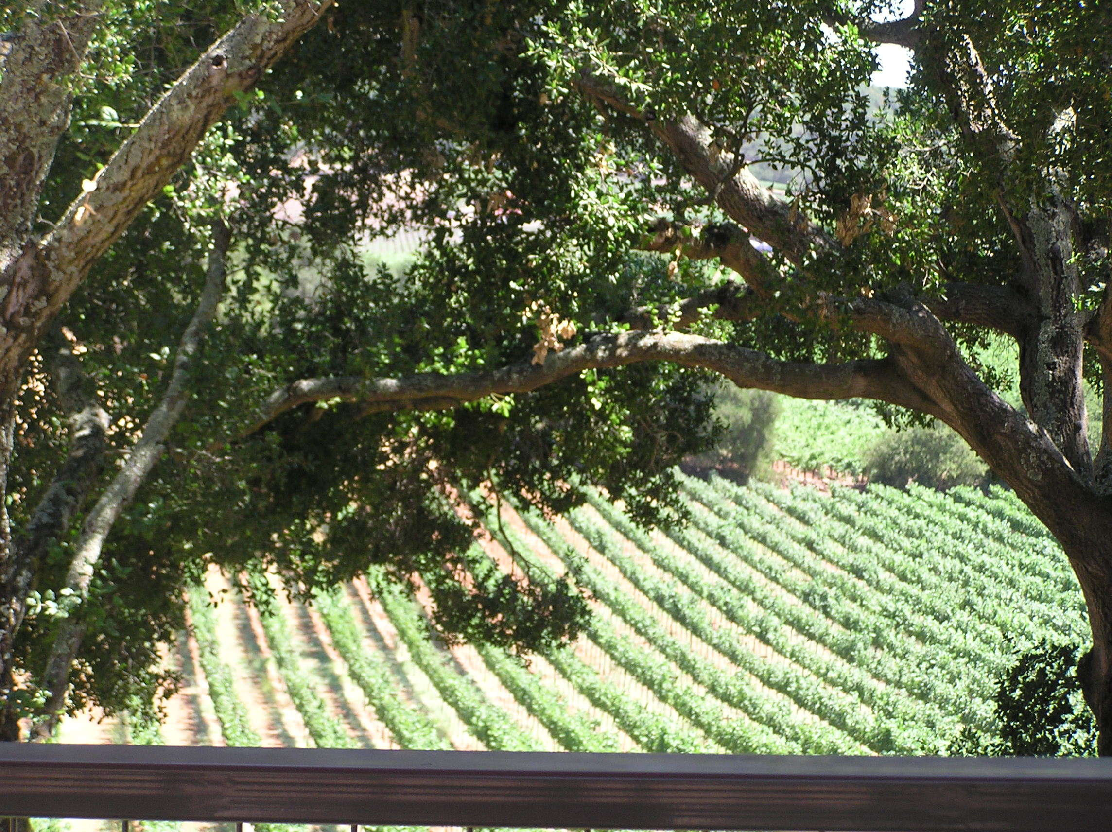 Screaming Eagle is somewhere out there