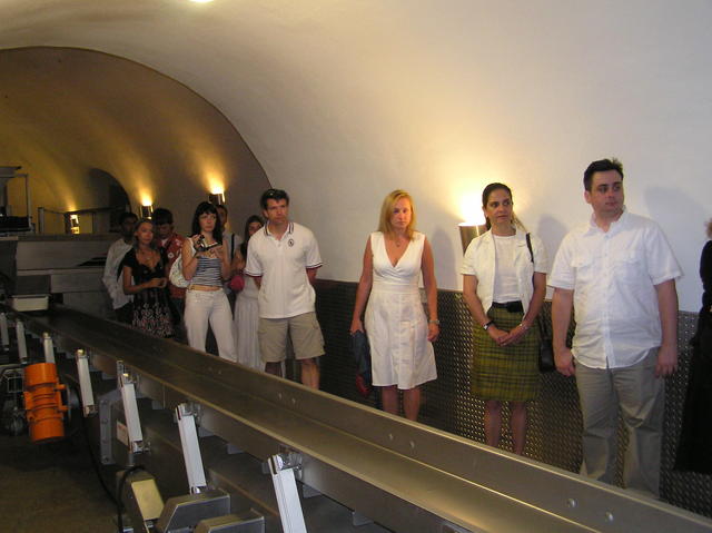 The line-up