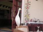SANY0183.JPG