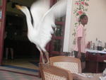 SANY0184.JPG