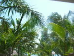 SANY0205.JPG