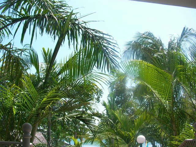 SANY0205.JPG