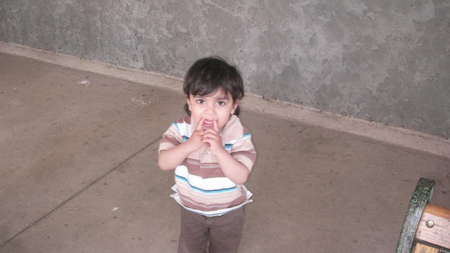 SANY0612.JPG