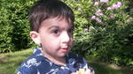 SANY0631.JPG