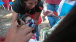 SANY1216.JPG