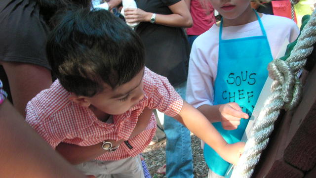 SANY1221.JPG