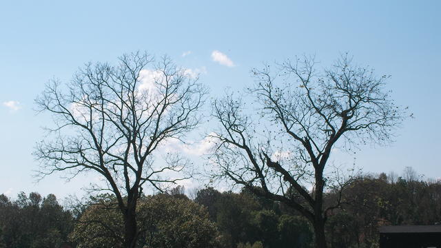 SANY1982.JPG