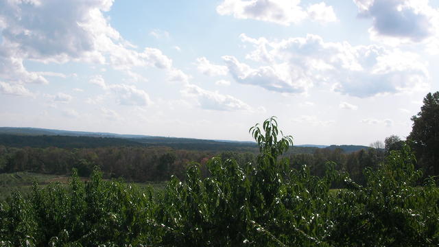 SANY2000.JPG