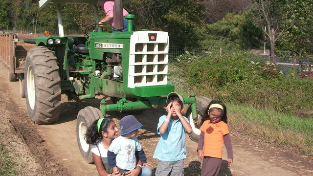 SANY2002.JPG