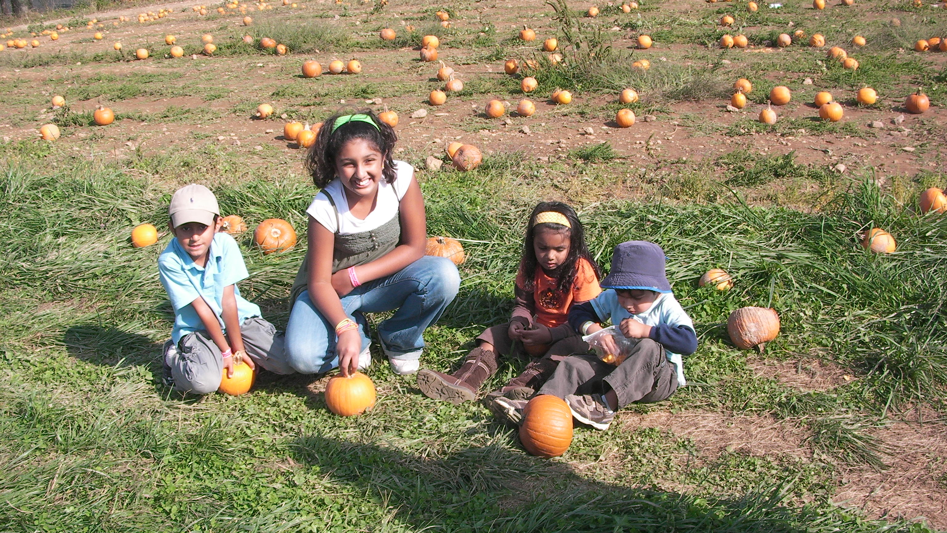 SANY2004.JPG