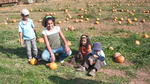 SANY2006.JPG