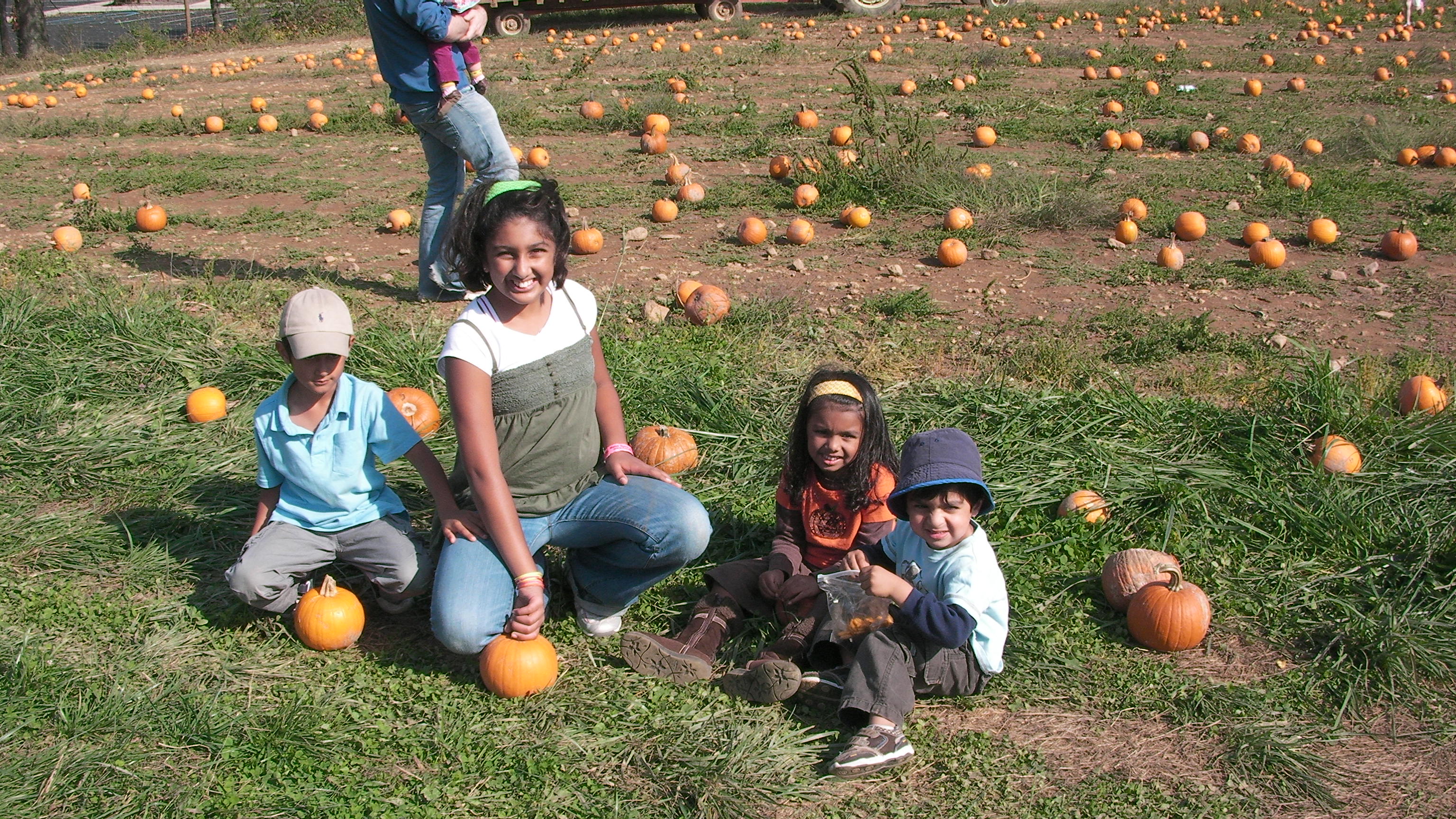 SANY2008.JPG