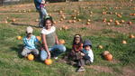 SANY2008.JPG