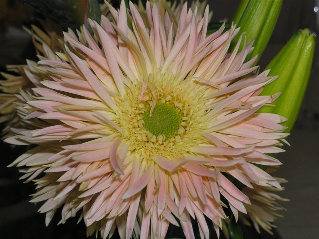 p1010004