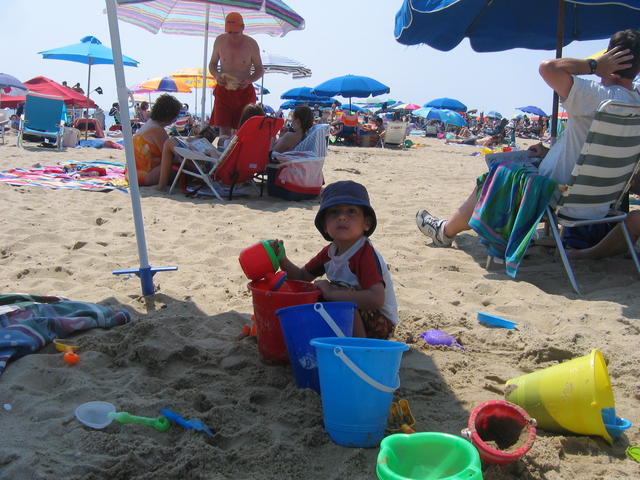 IMG_9795.jpg