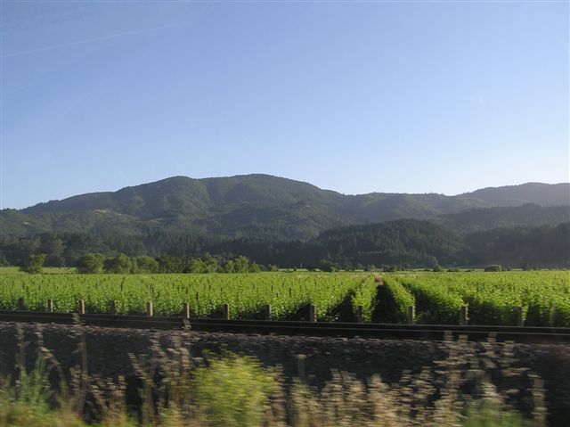 p1010007