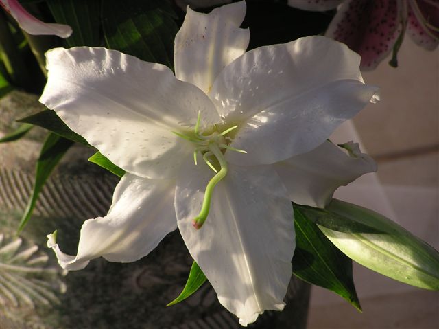 p1010032