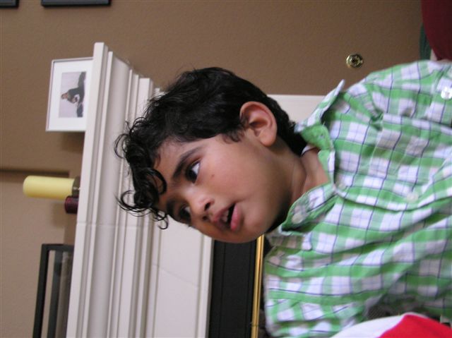 Sonali's Bday Party 029