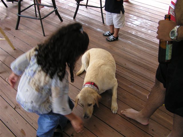 p1010019
