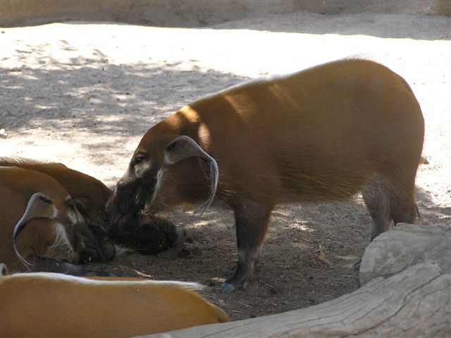 p7030075