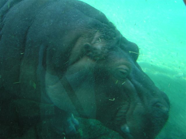 p7030077