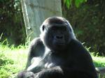 p7030081