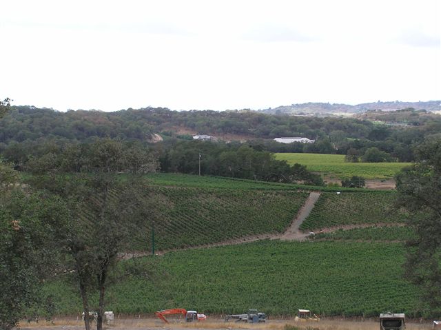 p1010064