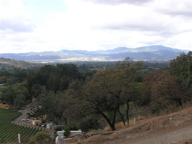 p1010065