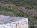 p1010069