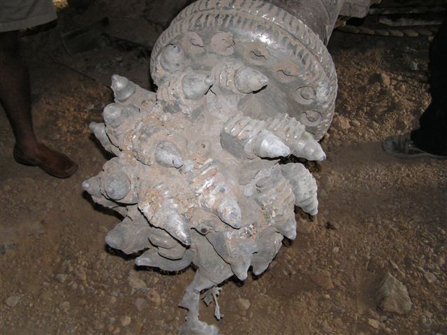 p1010072