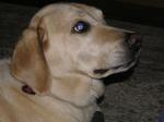 Febmar2006 046.jpg