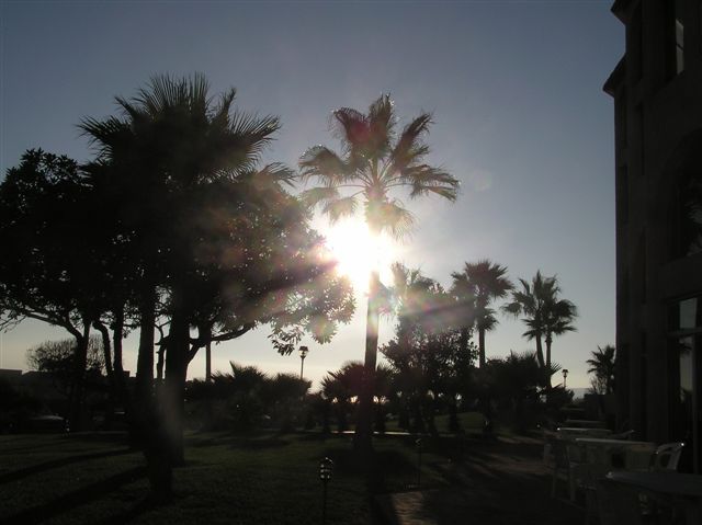 p1010002