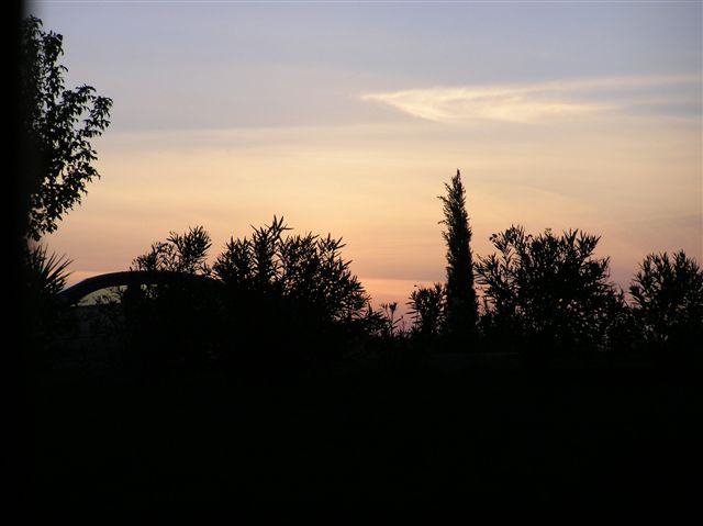 p1010045