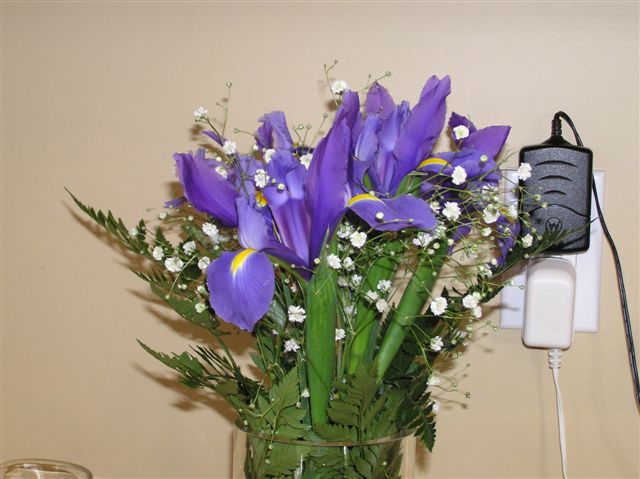 p1010004