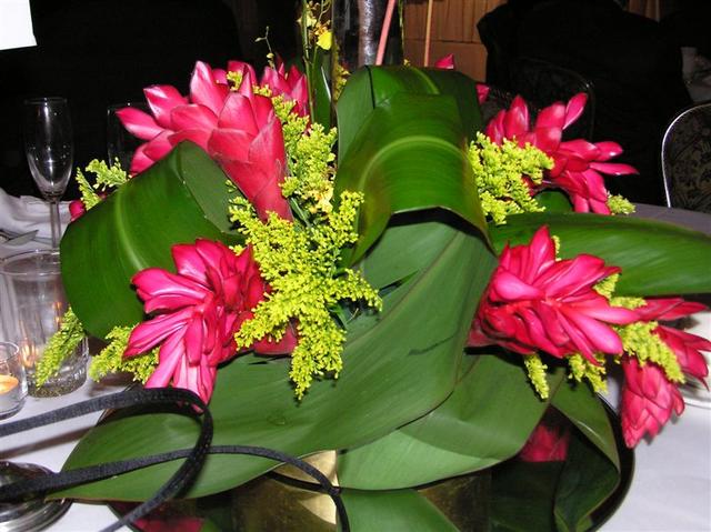 p1010055.jpg