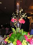 p1010067.jpg