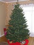 Christmas 2004