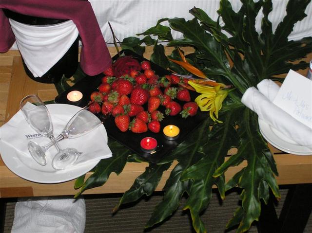 p1010104.jpg
