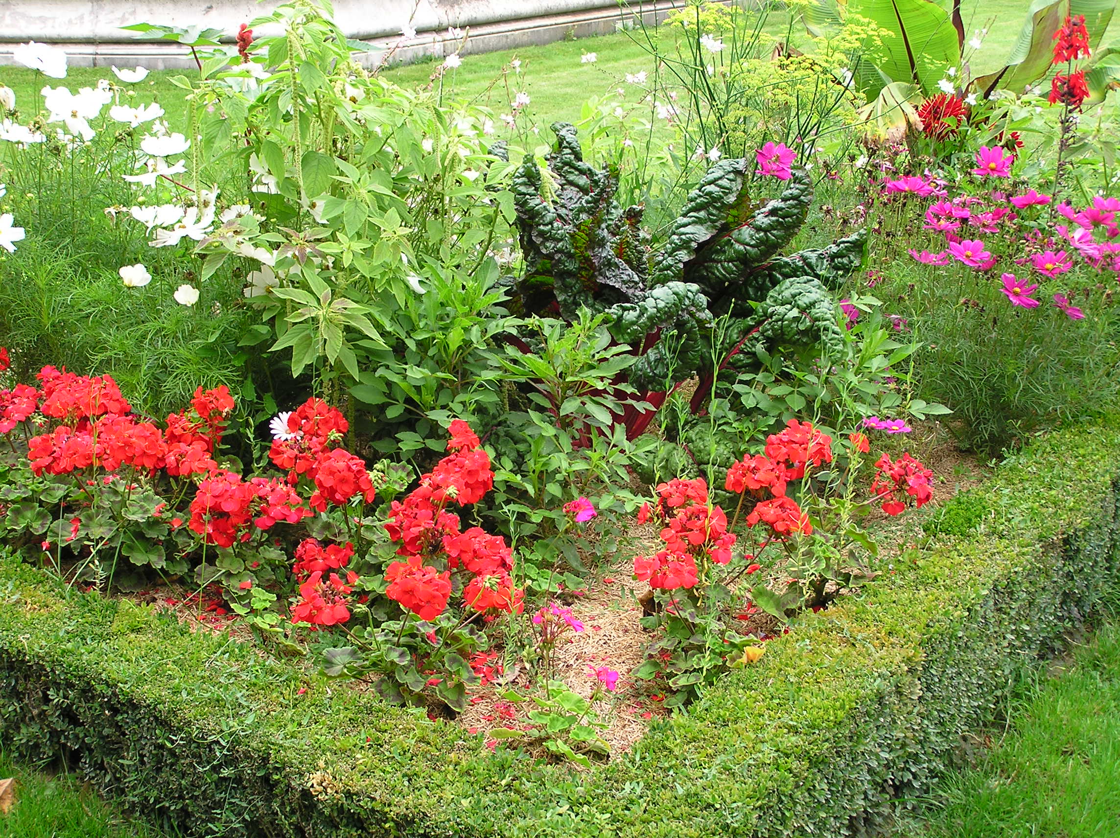 A garden next to Notre Dame - Look CLosely